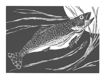 Wood Engraving Titled: Fish